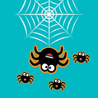 how to breed spider?