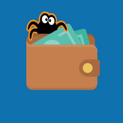 cost of keeping spiders?