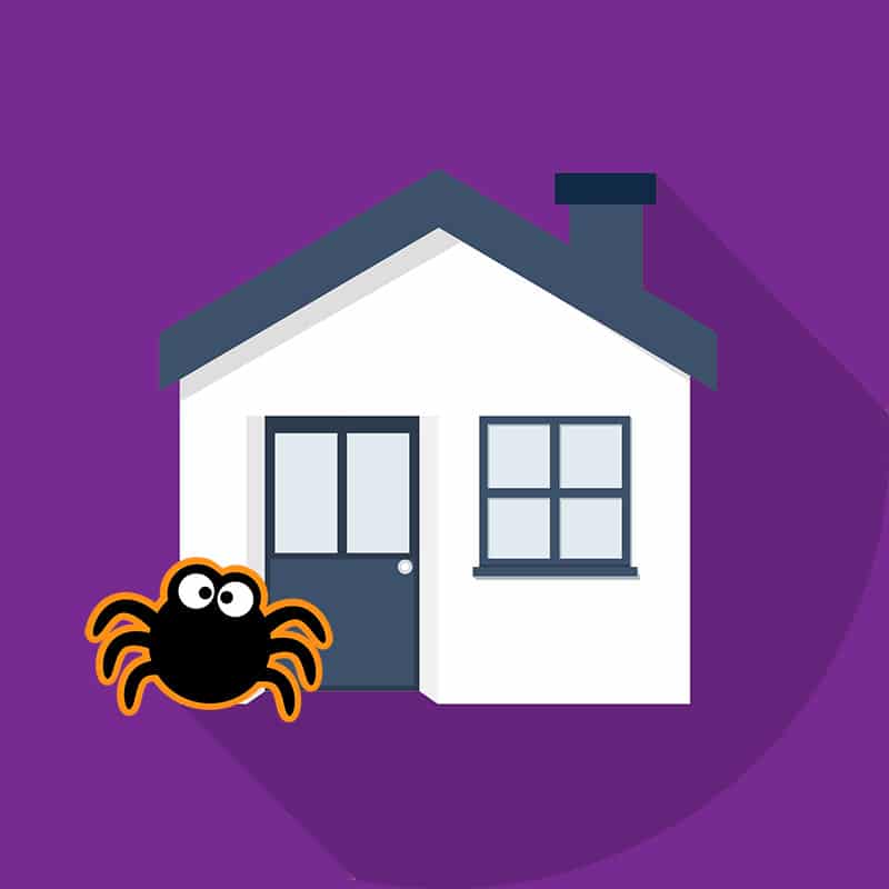 jumping spider housing