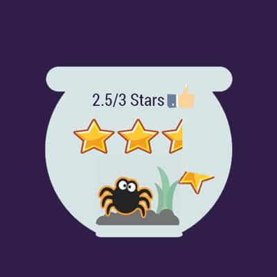 jumping spider rating as pet