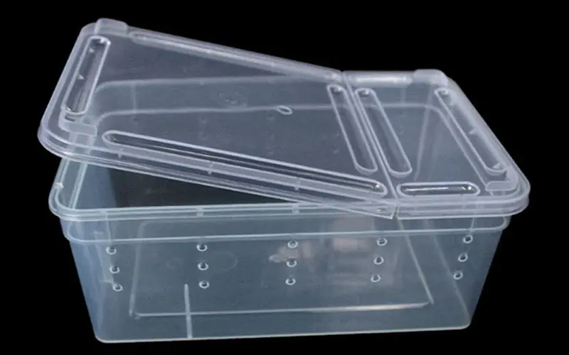 Pet jumping spider enclosure
