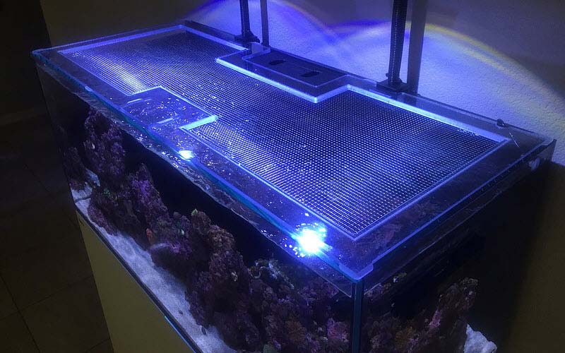 Fish tank top cover - ExoPetGuides.com