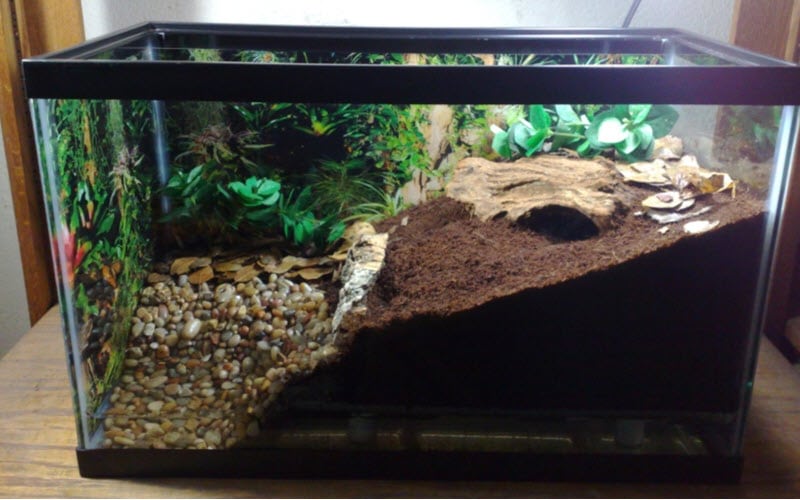Man-made Natural habitat for Spider - ExoPetGuides.com