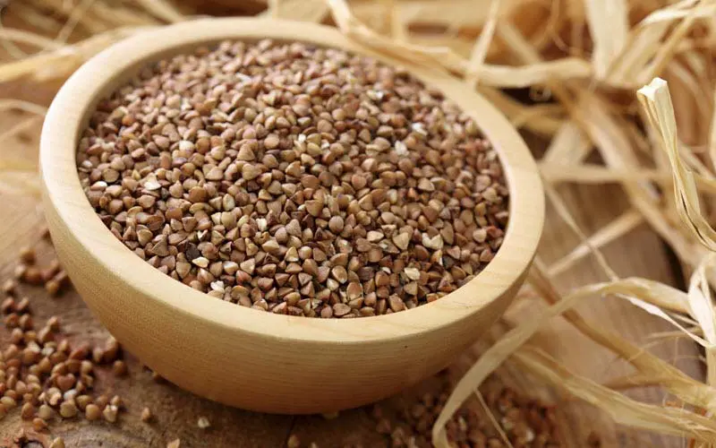 Grain in Pet food - ExoPetGuides.com