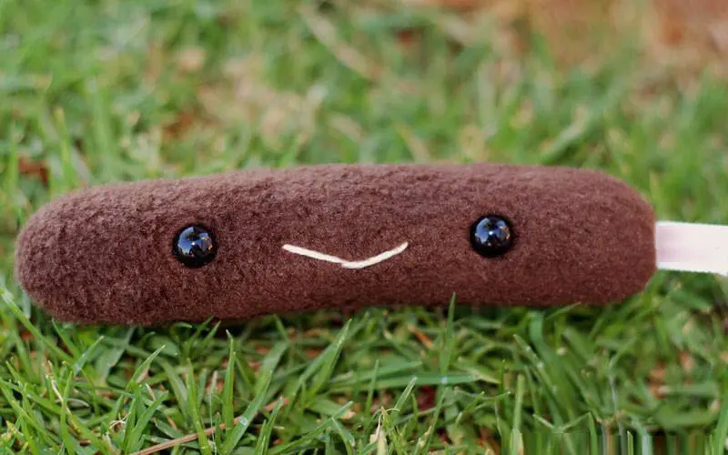 Hedgehog Poop Plush – ExoPetGuides.com