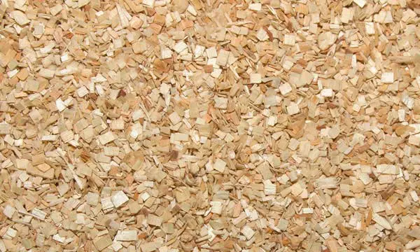 aspen shavings