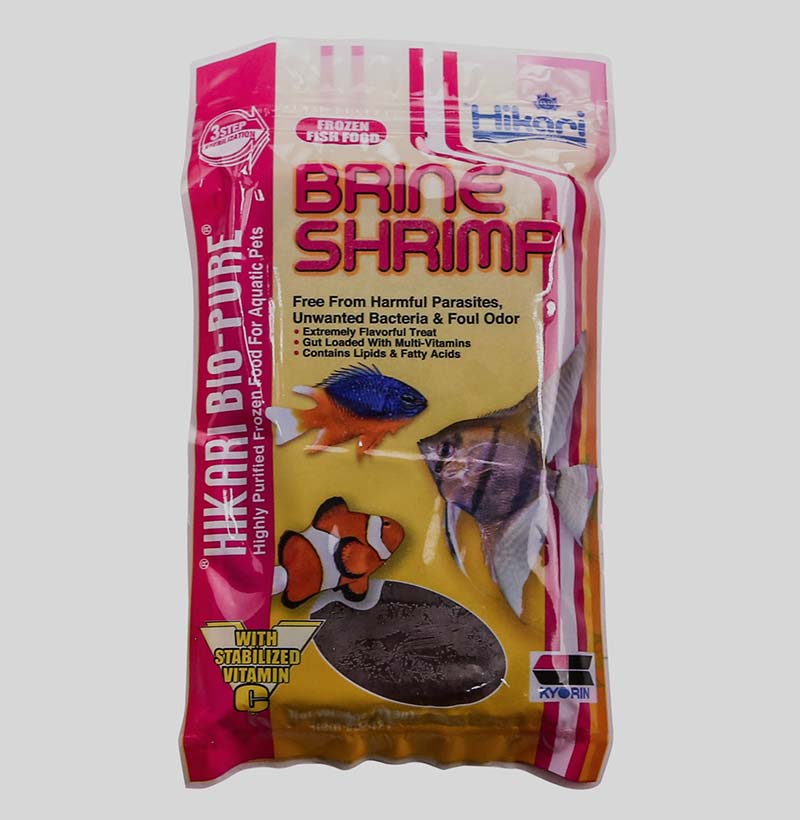 frozen brine shrimp cubes