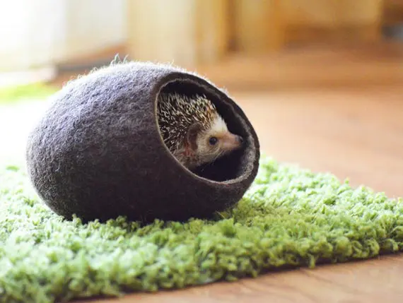 hedgehog fleece bed