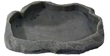 reptile dish for pets
