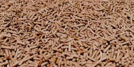 wood pellet for hedgehog litter area