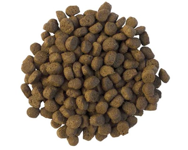 hedgehog dry food