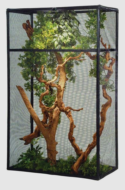 Meshed Bungalow Terrarium