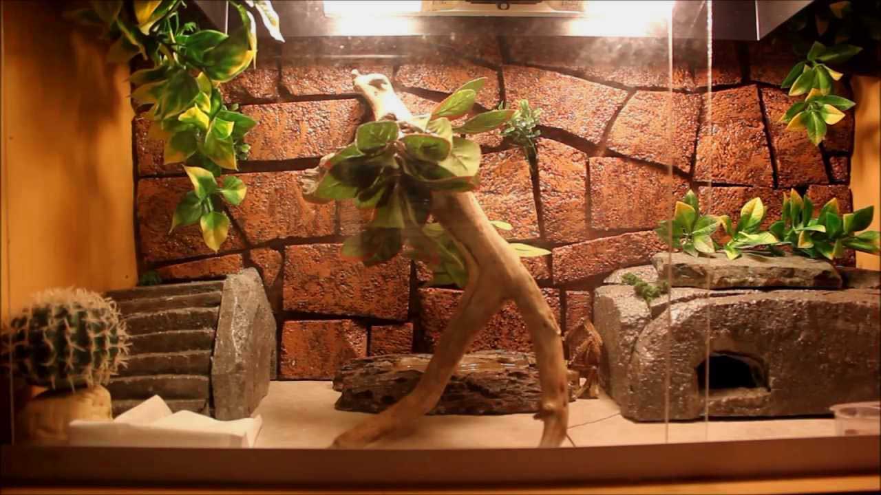 cozy dragon hut