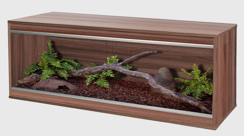 simple long terrarium