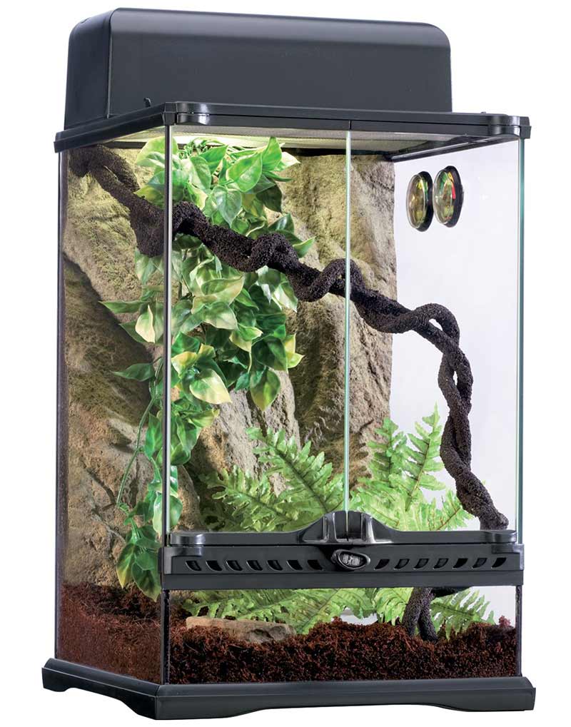 Exo Terra Rainforest Habitat Kit