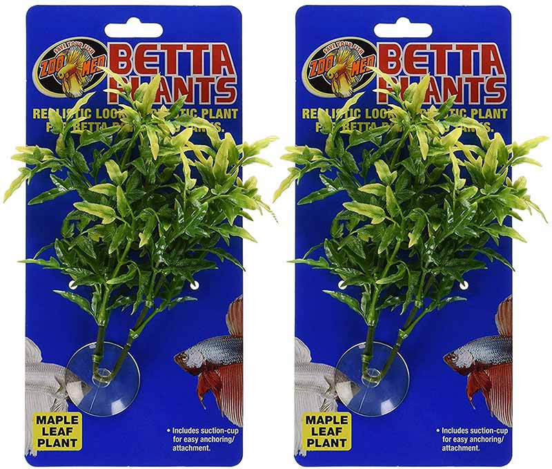 Zoo Med Betta Plant Maple Leaf