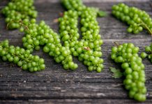 Can bearded dragons eat grapes