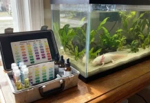 Axolotl Water Parameters: Safe Temperature, pH, Ammonia, Nitrite & Nitrate