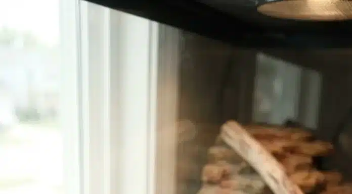 "Bearded Dragon Not Eating: Causes, Solutions, and When to See a Vet"